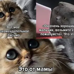 ТРЭШ